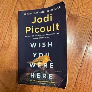Wish you were here Novel